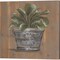 Herb Trio & Pretty Plant in Pail by Julie Norkus 14" x 14" Canvas Wall Art (Set of 2)